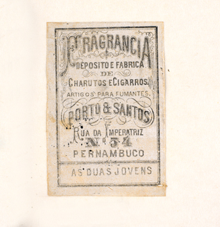 vizualizar o documento on line